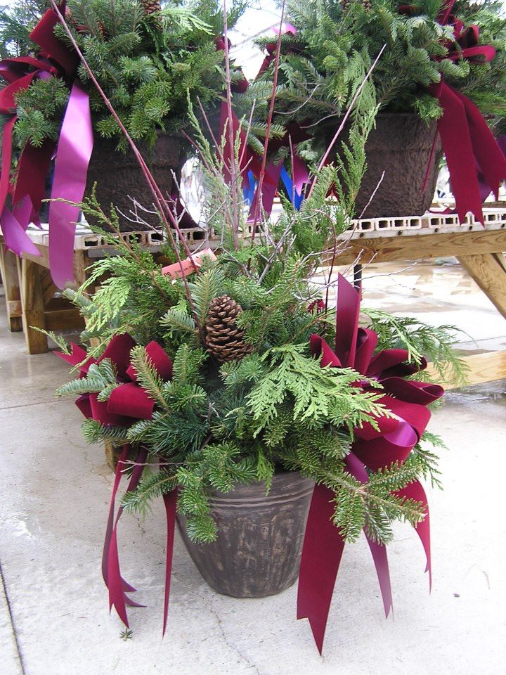 chistmas-container-burgundy